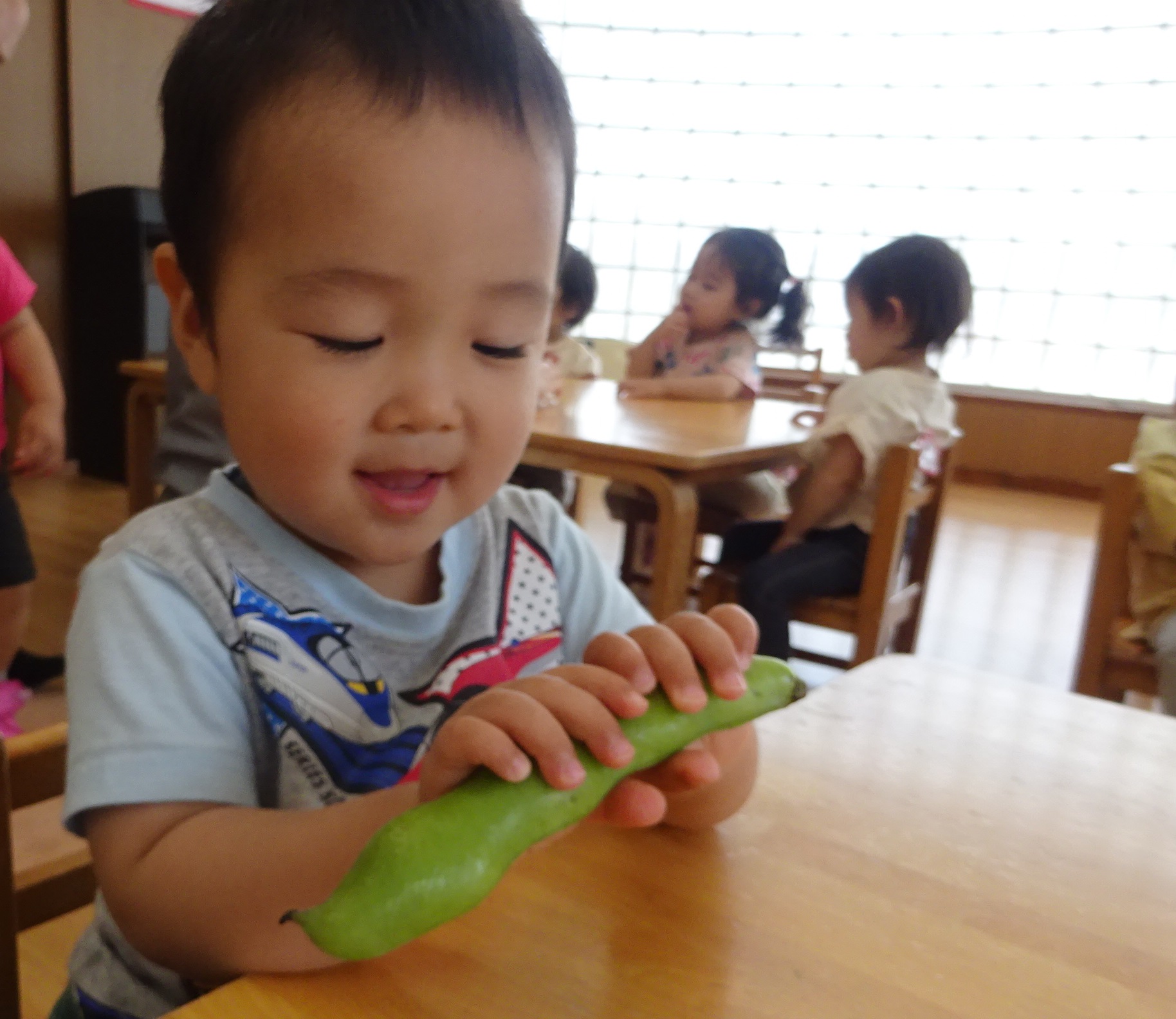 そら豆のさやむきをしたよ（1歳児　ばら組）