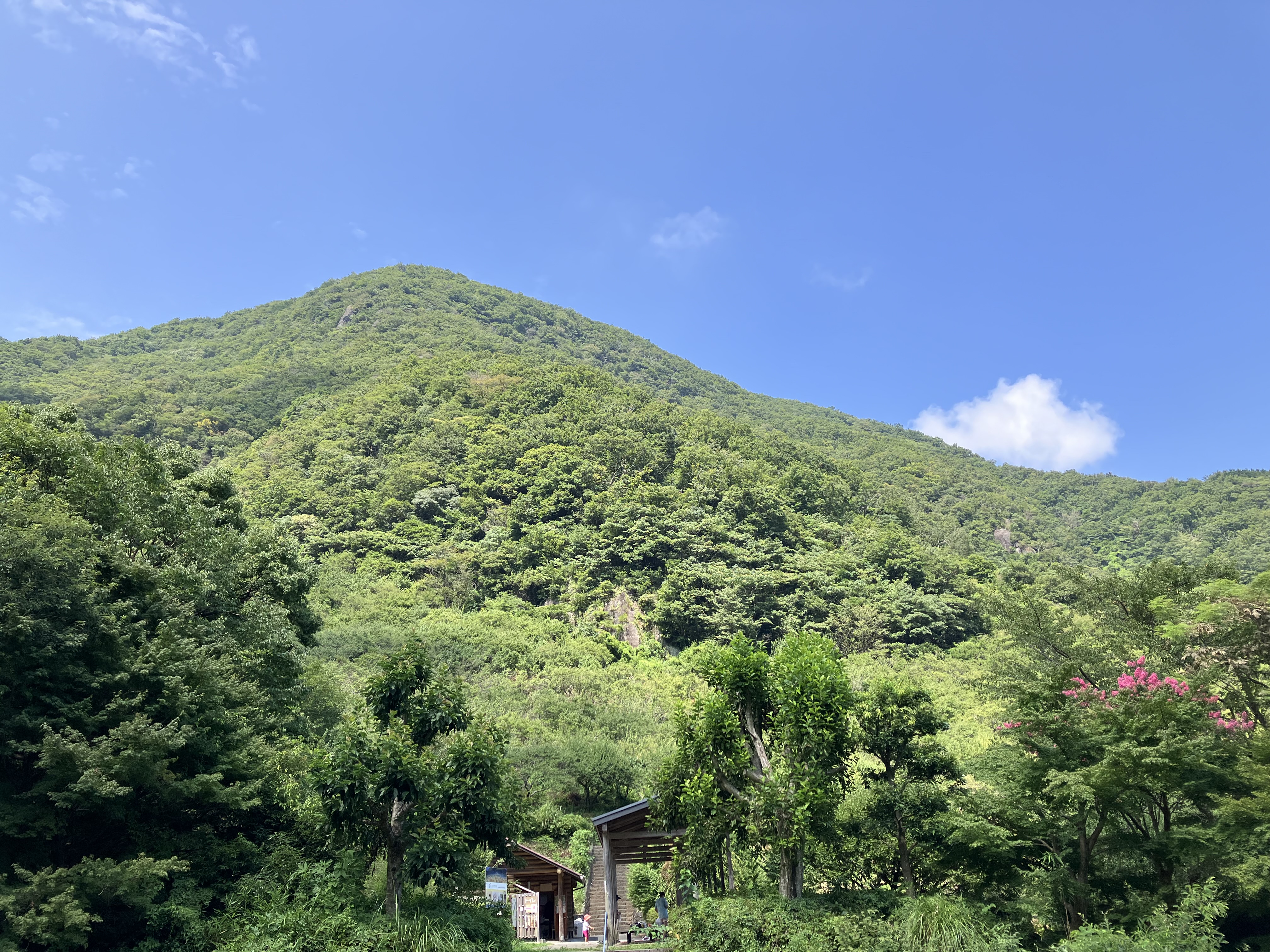 夏、恒例！　幕山公園外出！