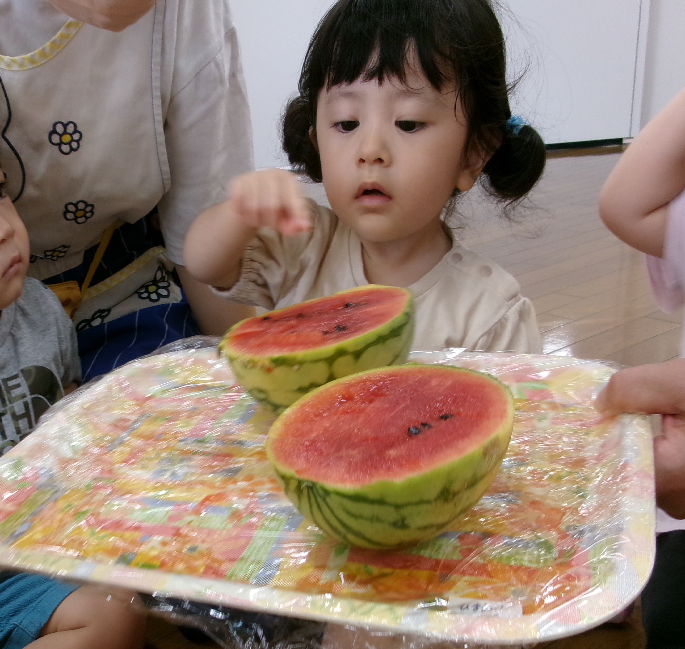 みんなで小玉すいかを育てたよ　(1歳児　ひまわり組)