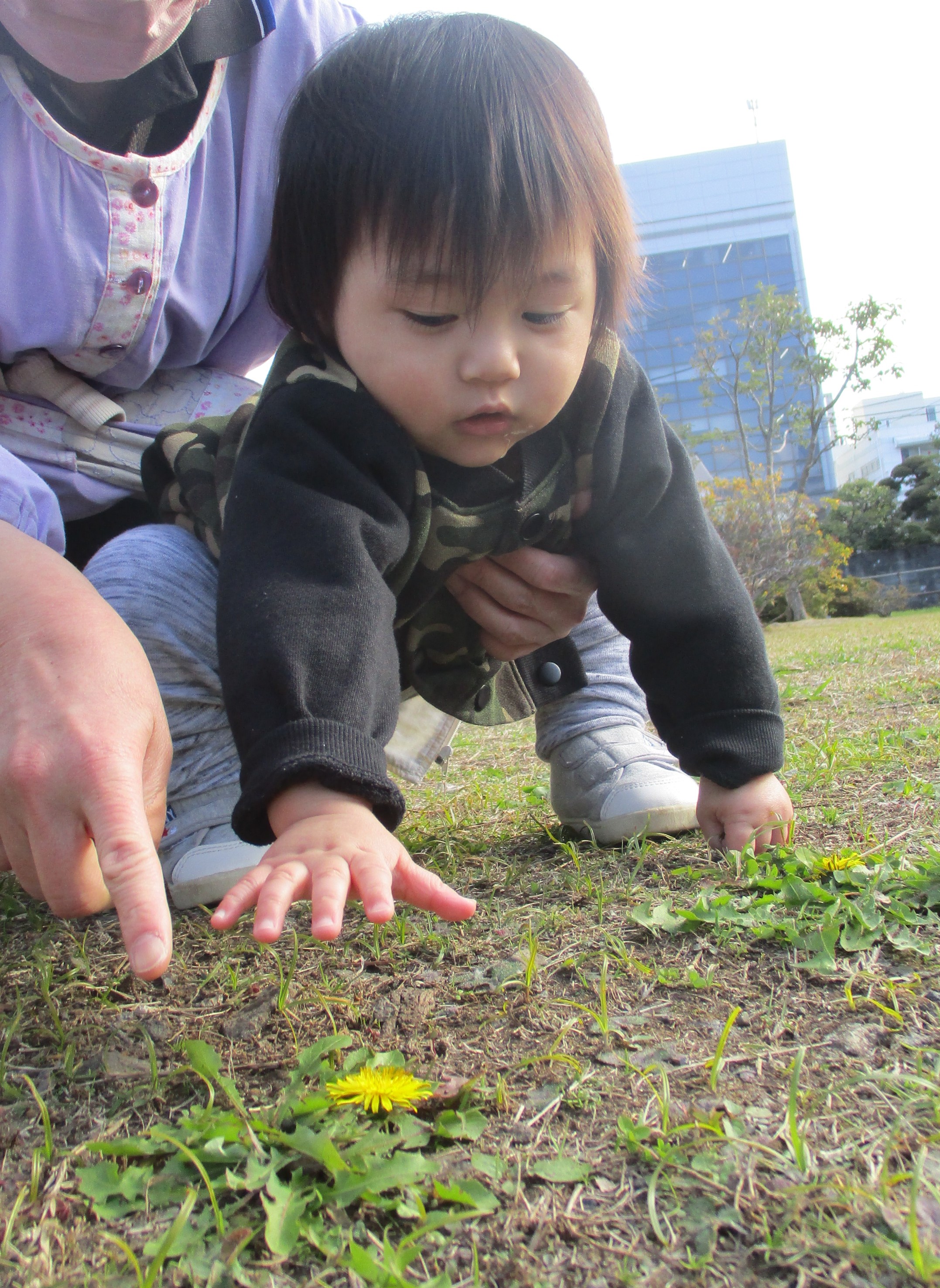 おさんぽ　たのしいね！（0歳児　たんぽぽ組）