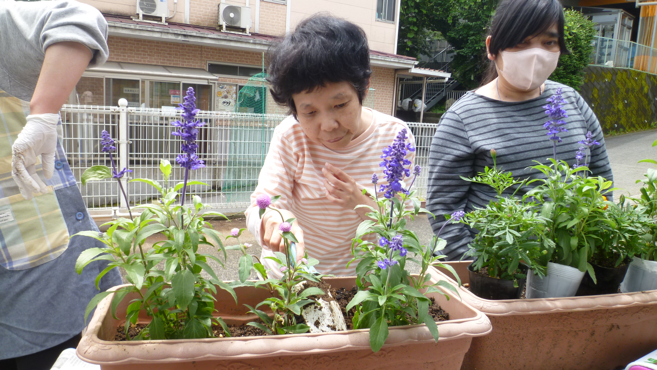 第二しおん 花壇の花植えを行いました(^^♪