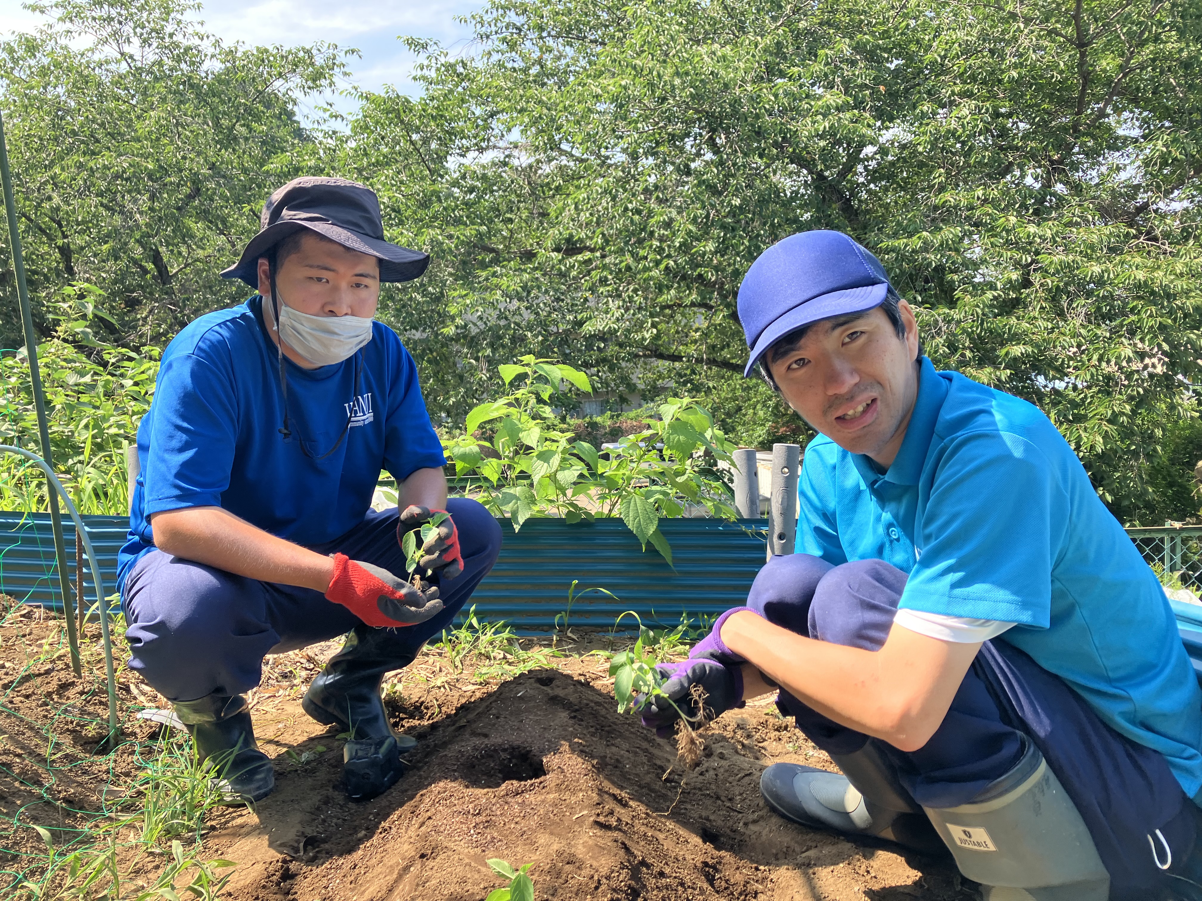 第一しおん　作業棟　畑作業！