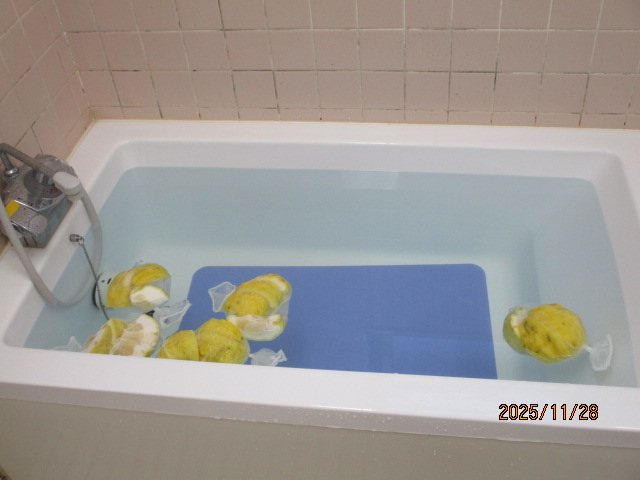 シトラス　１２月　～♨ゆず湯でポッカポカ♨～