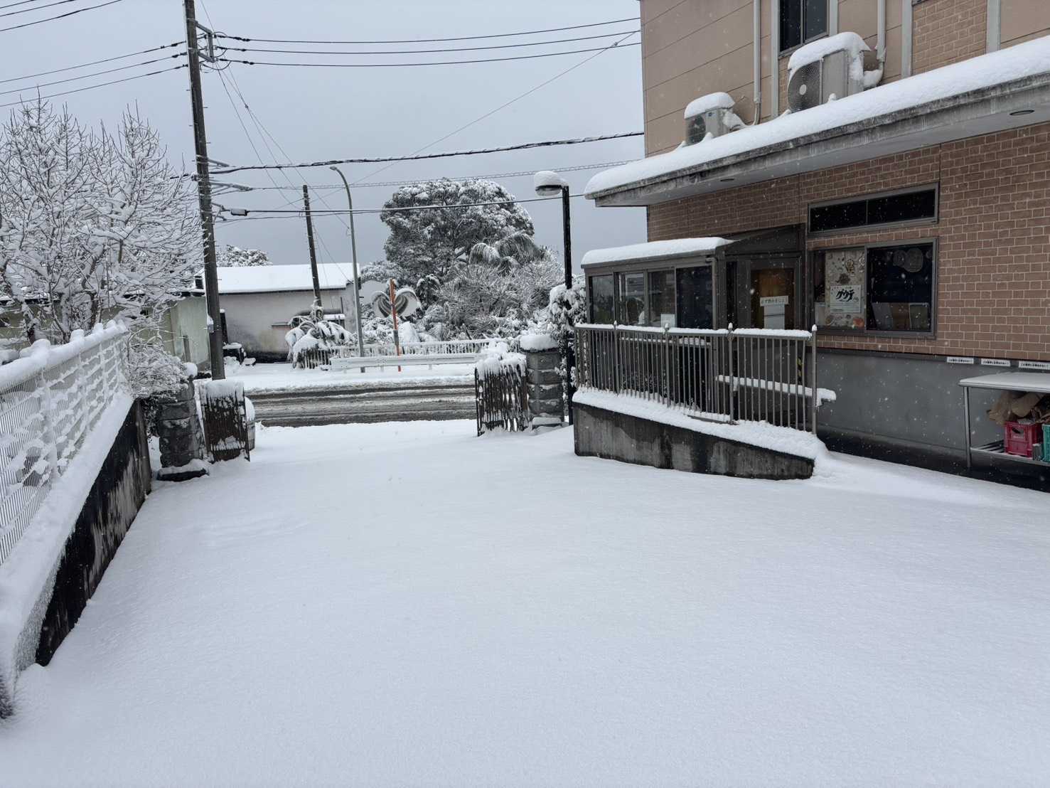 本日の給食 #2-4